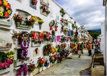 Sin memoria no hay futuro