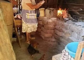 Los sencillos de la tierra nos enseñan a construir un mundo mas justo.