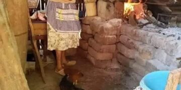 Los sencillos de la tierra nos enseñan a construir un mundo mas justo.